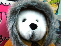 white bear parka face